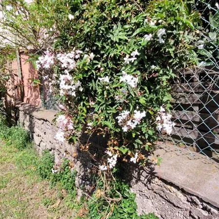 Maison d'hôtes Chez Régine
