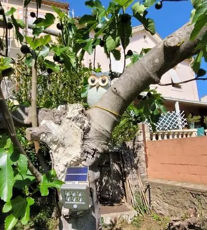 Chez Regine Guest house Agde