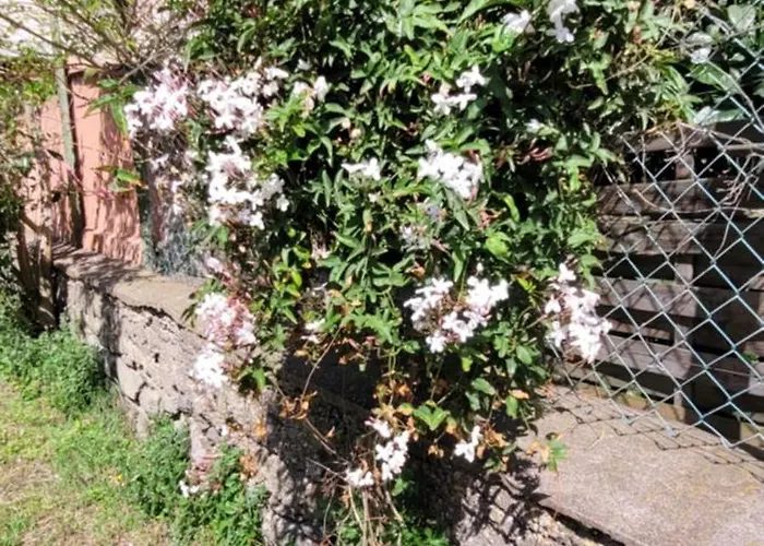 Guest house Chez Regine